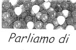 leggi articolo